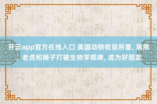 开云app官方在线入口 美国动物收容所里, 黑熊、老虎和狮子打破生物学规律, 成为好朋友