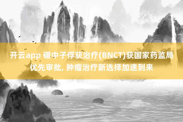 开云app 硼中子俘获治疗(BNCT)获国家药监局优先审批, 肿瘤治疗新选择加速到来