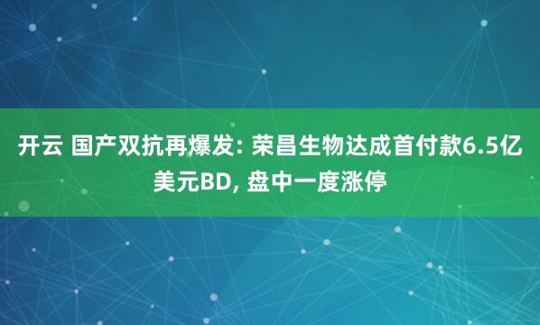 开云 国产双抗再爆发: 荣昌生物达成首付款6.5亿美元BD, 盘中一度涨停