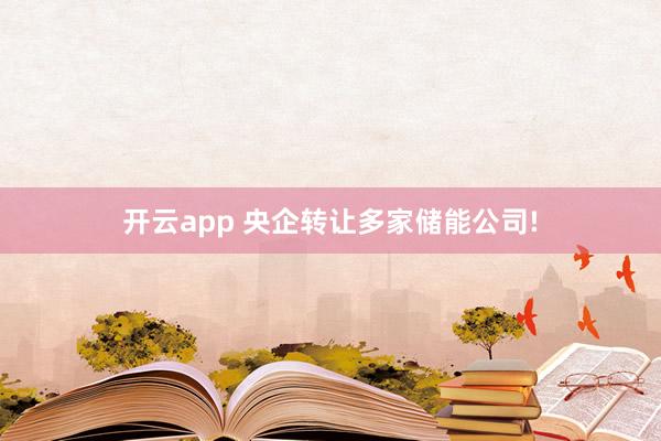 开云app 央企转让多家储能公司!
