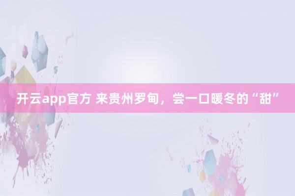 开云app官方 来贵州罗甸，尝一口暖冬的“甜”