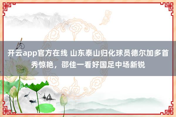 开云app官方在线 山东泰山归化球员德尔加多首秀惊艳，邵佳一看好国足中场新锐