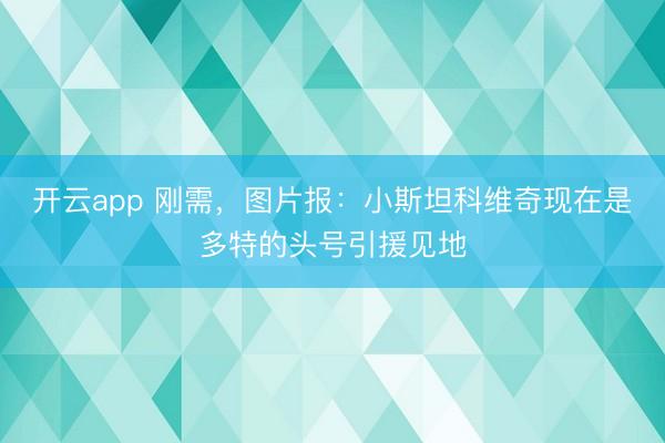 开云app 刚需，图片报：小斯坦科维奇现在是多特的头号引援见地