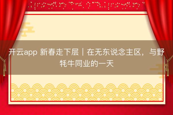 开云app 新春走下层|在无东说念主区,与野牦牛同业的一天